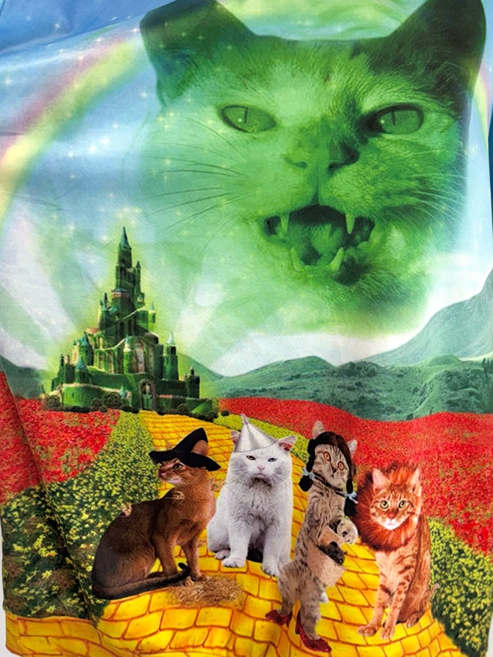 Wizard of Paws graphic cat sweatshirt